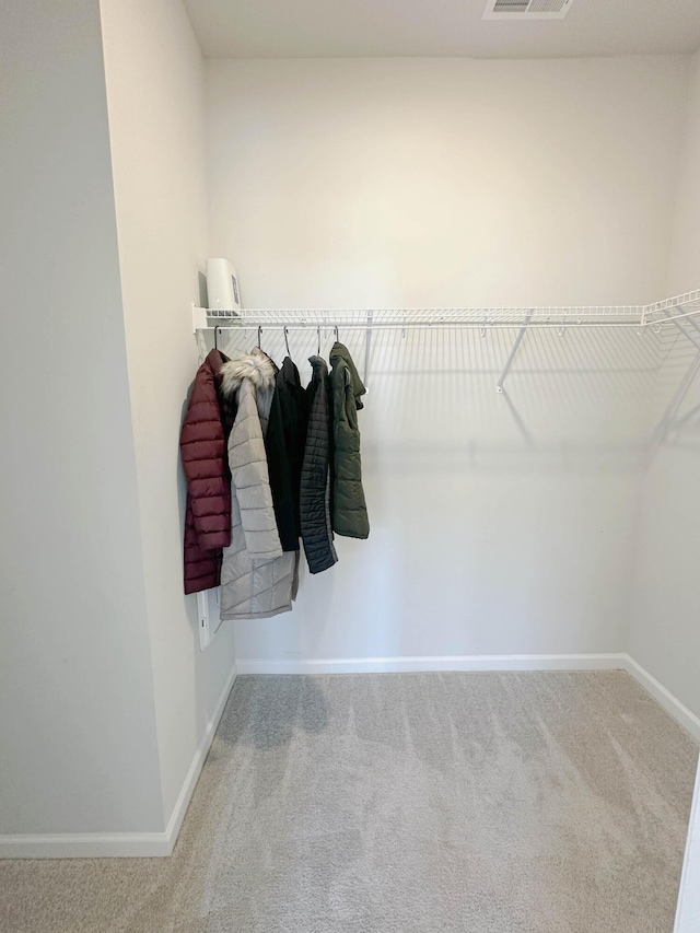 walk in closet with carpet flooring