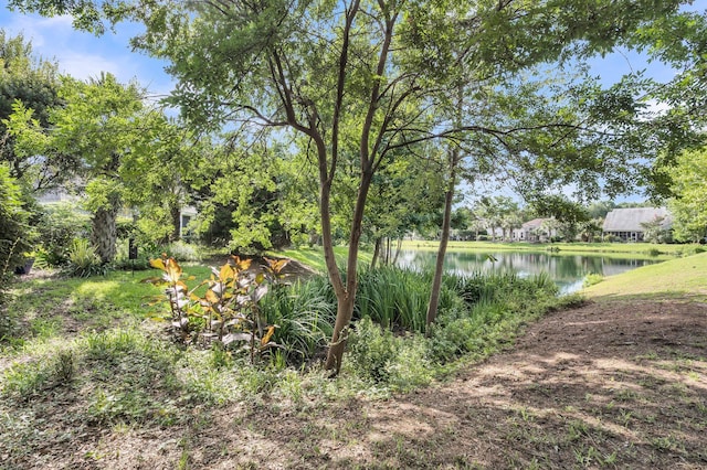 1311 Royal Links Dr, Mount Pleasant, SC 29466 - view of yard with a water view