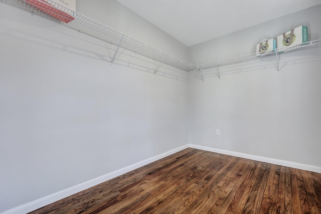 spacious closet featuring dark wood-style floors