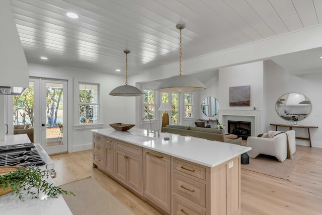 kitchen featuring a wealth of natural light, light countertops, a sink, and light wood-style flooring