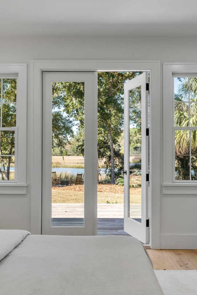 entryway with french doors, a healthy amount of sunlight, and wood finished floors