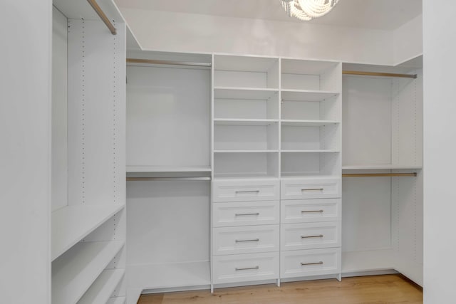 walk in closet featuring light wood finished floors