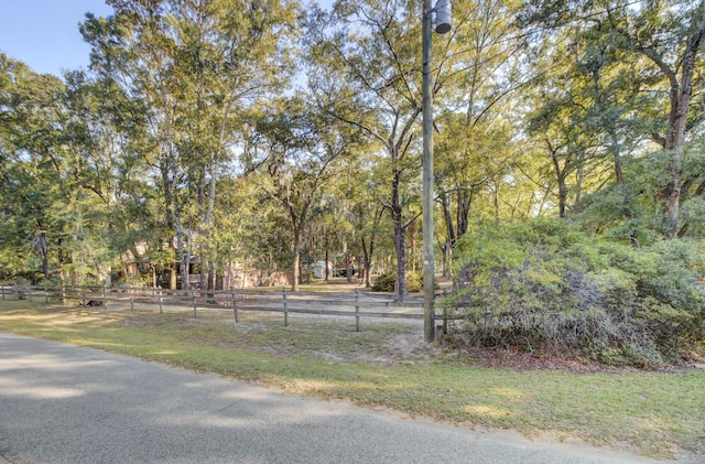 4429 Francis Younge Way, Hollywood, SC 29449 - view of road