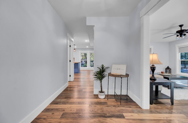 hallway with hardwood / wood-style floors