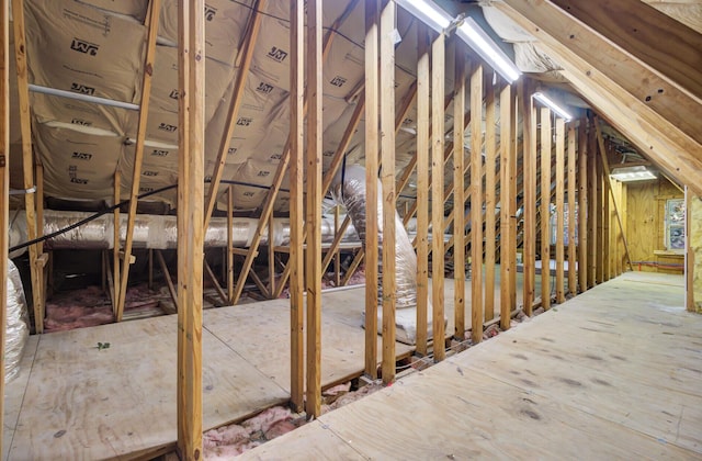 4429 Francis Younge Way, Hollywood, SC 29449 - view of unfinished attic