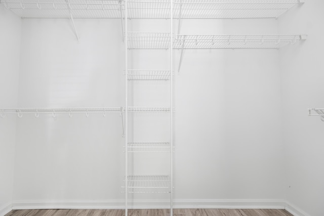 walk in closet featuring wood-type flooring