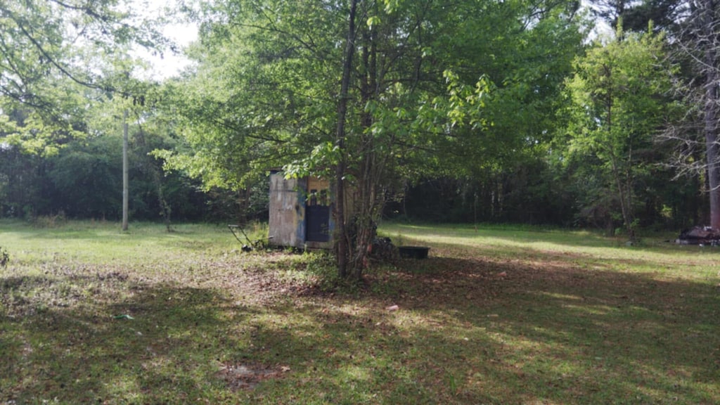 106 Annie Williams St, Moncks Corner, SC 29461