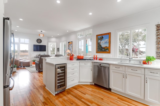 kitchen featuring plenty of natural light, light hardwood / wood-style flooring, sink, and stainless steel appliances