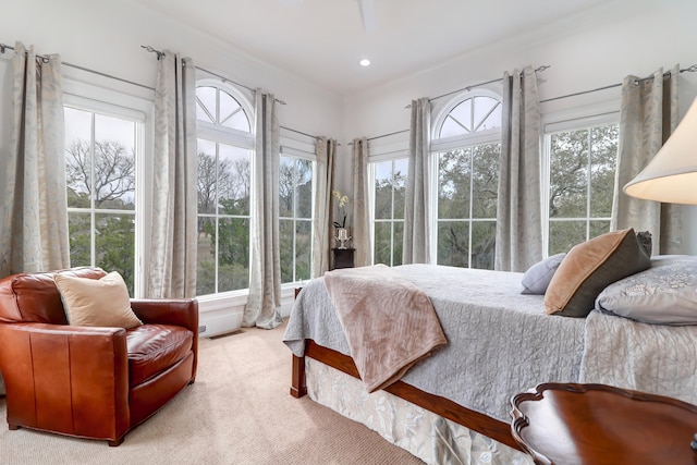 bedroom with light carpet