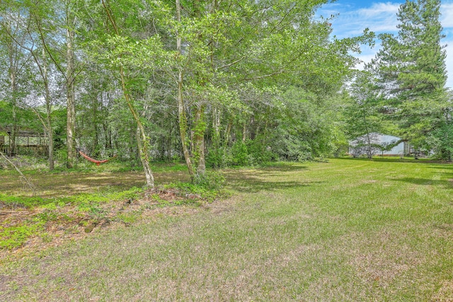 1314 Cooper Store Rd, Moncks Corner, SC 29461 - view of grassy yard