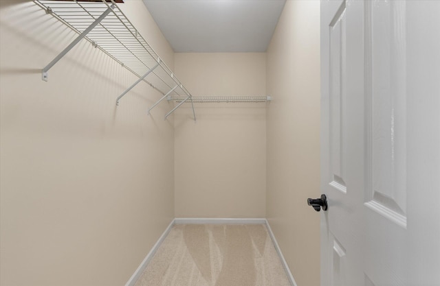 walk in closet featuring carpet floors