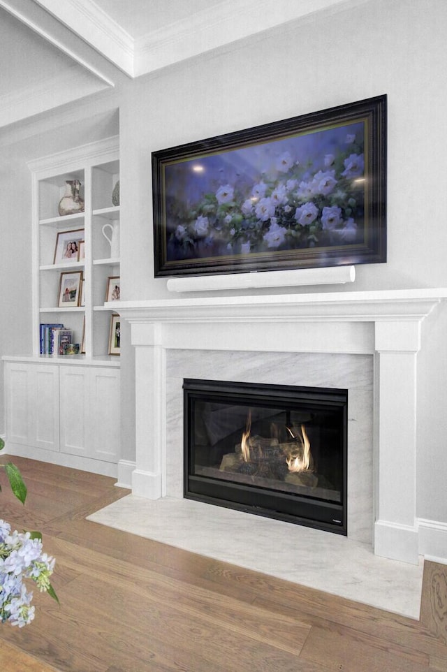1098 Reserve Ln, Awendaw, SC 29429 - detailed view of a premium fireplace, crown molding, wood finished floors, and built in shelves