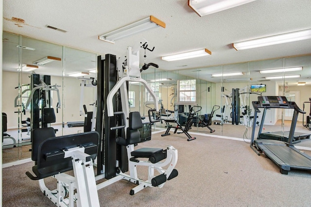 107 Hickory Ln Unit C, Ladson, SC 29456 - exercise room featuring a textured ceiling