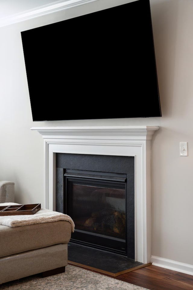 details featuring baseboards, wood finished floors, and a glass covered fireplace