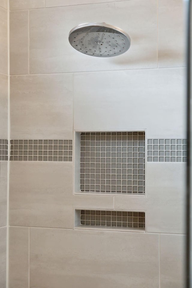 interior details with walk in shower