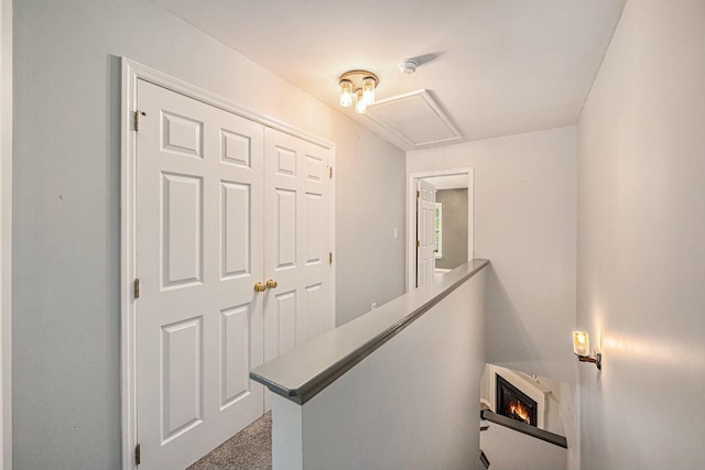 hallway featuring carpet flooring