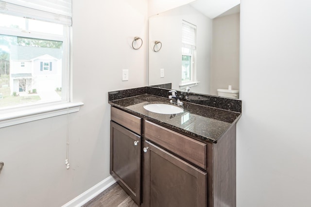 bathroom featuring plenty of natural light, vanity, baseboards, and wood finished floors