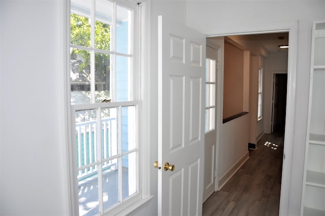 doorway to outside featuring dark wood-type flooring