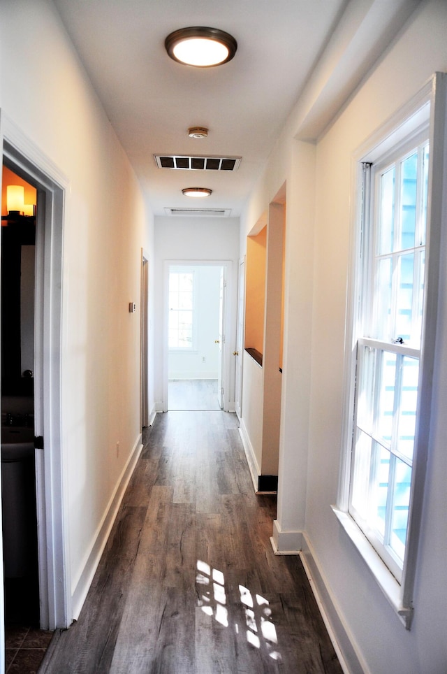 hall with a wealth of natural light and dark hardwood / wood-style floors