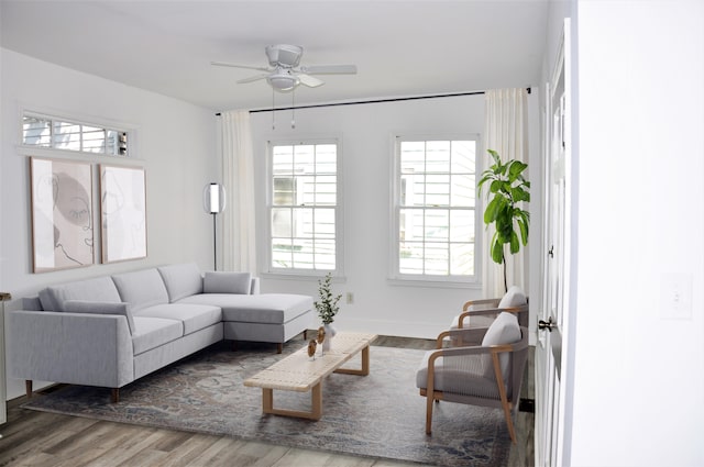 living room featuring ceiling fan and wood-type flooring