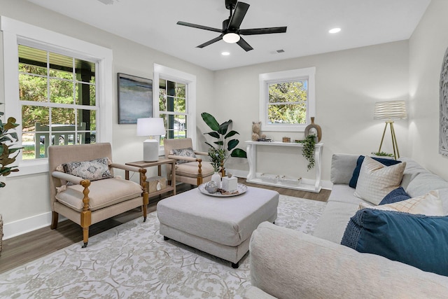 living room with ceiling fan and hardwood / wood-style flooring