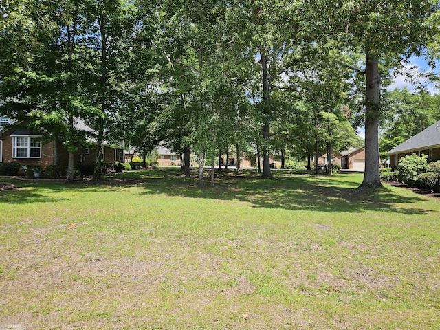 258 Ridge Lake Dr, Manning, SC 29102
