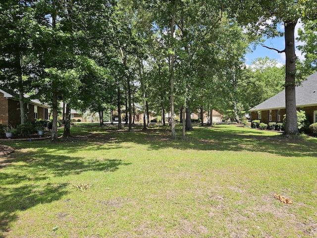 258 Ridge Lake Dr, Manning, SC 29102