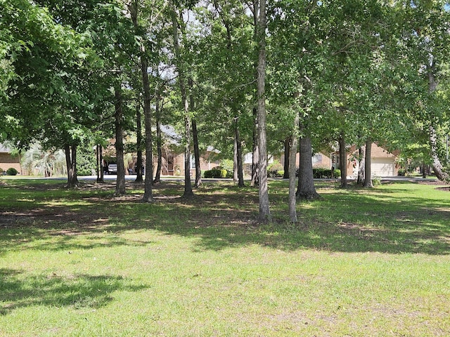 258 Ridge Lake Dr, Manning, SC 29102