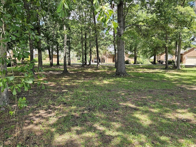 258 Ridge Lake Dr, Manning, SC 29102