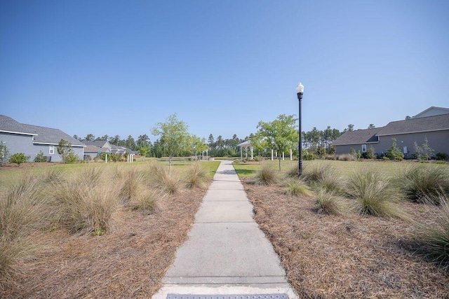 106 Sago Ct, Summerville, SC 29486 - view of property's community