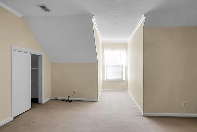 additional living space with vaulted ceiling, light carpet, and a textured ceiling