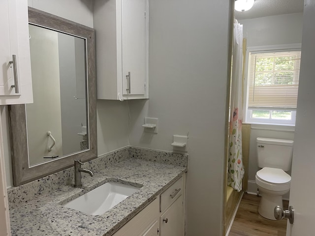 bathroom with vanity, toilet, and wood finished floors
