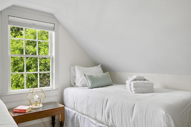 bedroom with multiple windows and lofted ceiling