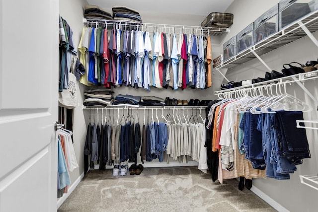 walk in closet with carpet floors