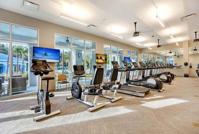 gym with a healthy amount of sunlight and light colored carpet