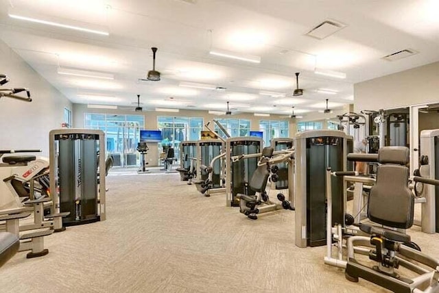 workout area featuring light carpet and ceiling fan