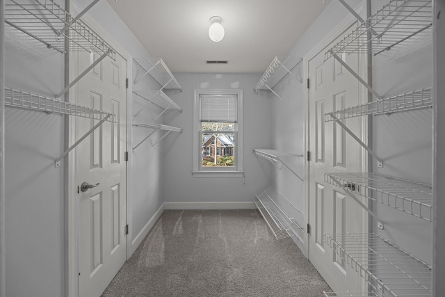 walk in closet featuring carpet floors