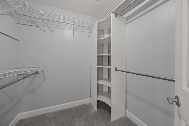 walk in closet featuring carpet