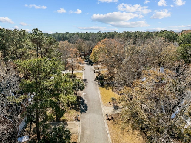 drone / aerial view