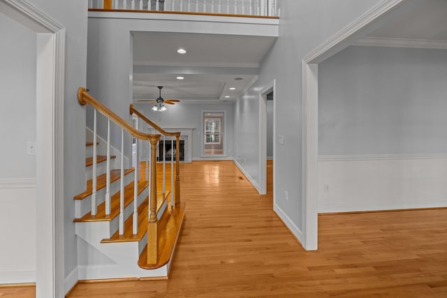 foyer entrance featuring crown molding, ceiling fan, and light wood-type flooring