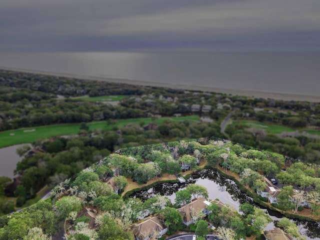 5558 Green Dolphin Way, Kiawah Island, SC 29455 - aerial view of property's location with a nearby body of water