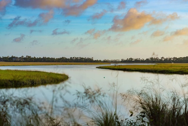 5558 Green Dolphin Way, Kiawah Island, SC 29455 - water view