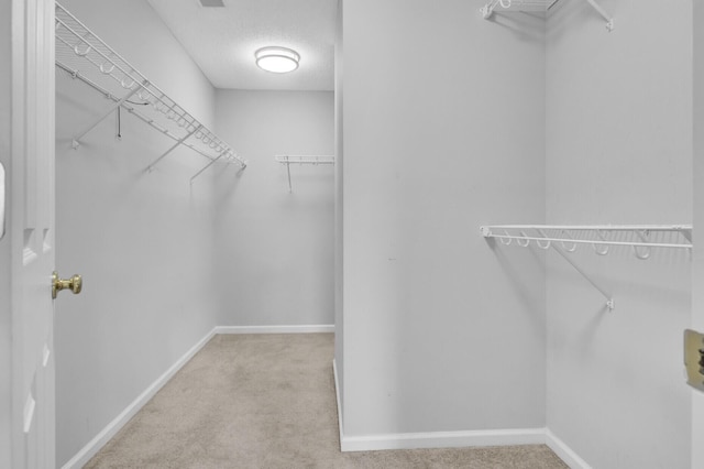 spacious closet with light carpet