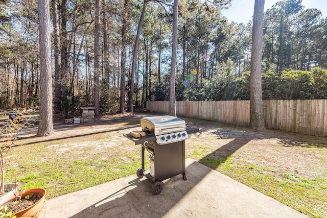 view of yard featuring a patio area