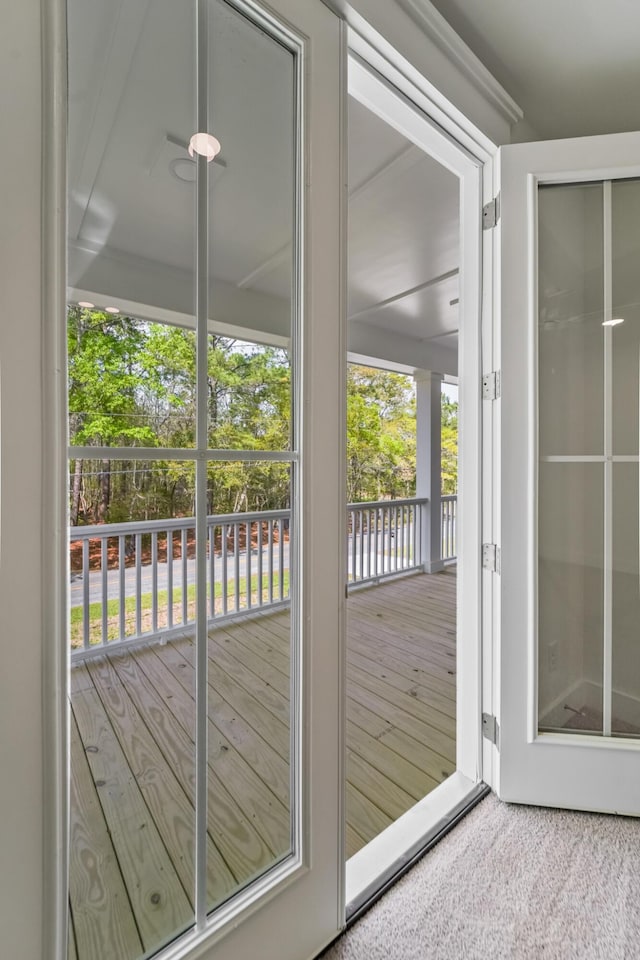 4235 Royal Harbor Rd, Hollywood, SC 29449 - doorway with carpet