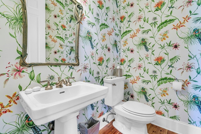 bathroom featuring wood finished floors, toilet, wallpapered walls, and a sink