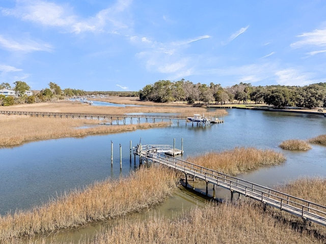 dock area with a water view