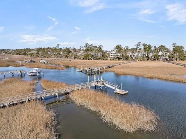 dock area with a water view