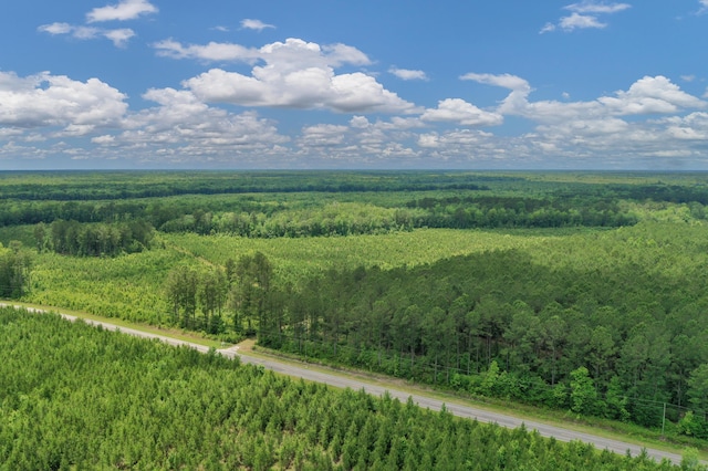 5120 N Brewington Rd, Manning, SC 29102