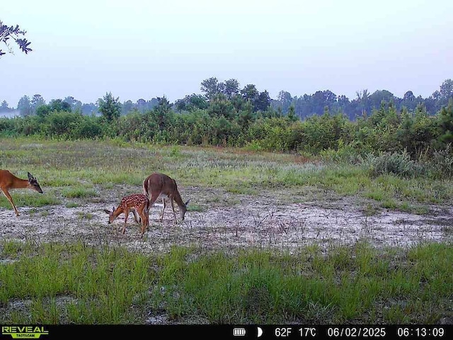5120 N Brewington Rd, Manning, SC 29102